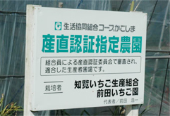 前田いちご園は生協コープかごしまの産直認証指定農園