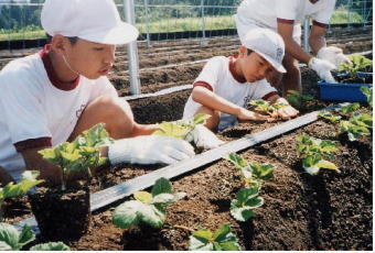 中福良小学校６年生